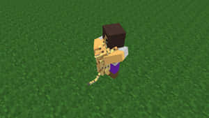 Minecraft 玩家在綠色草地上抱著貓