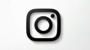 白色背景上的黑色Instagram標誌，帶有微妙陰影