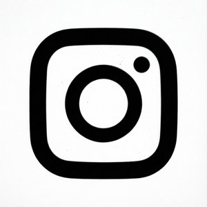 白色背景上的黑色Instagram標誌圖示