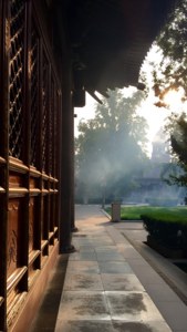 寺廟庭院，霧氣瀰漫的小徑，金色陽光穿過樹木