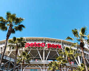 Petco Park 球場與棕櫚樹，背景是清澈藍天。