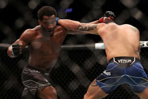 兩名MMA拳手在八角籠內互相出拳。