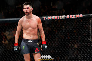 MMA拳手滿臉鮮血，站在T-Mobile Arena的八角籠中。 — 搏擊會 GIF 壁紙
