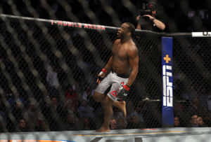 MMA拳手在八角籠中慶祝勝利，背景有觀眾。 — 搏擊會 GIF 壁紙