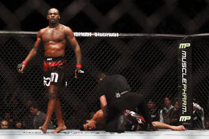 MMA拳手在八角籠中擊倒對手後勝利站立