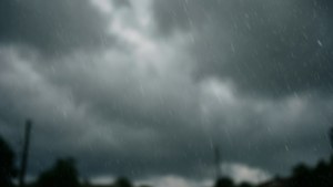 黑暗的暴風雲伴隨大雨落在模糊的樹木剪影上