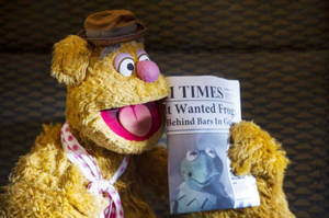 Fozzie Bear 拿著一份頭版有Kermit the Frog的報紙。