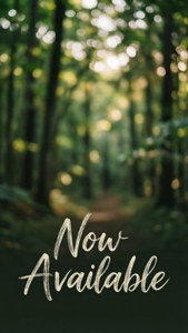 森林小徑，陽光和文字「Now Available」