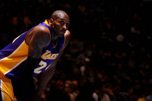 高比拜仁身穿湖人球衣，在籃球比賽中專注。 — 科比· Bryant 壁紙