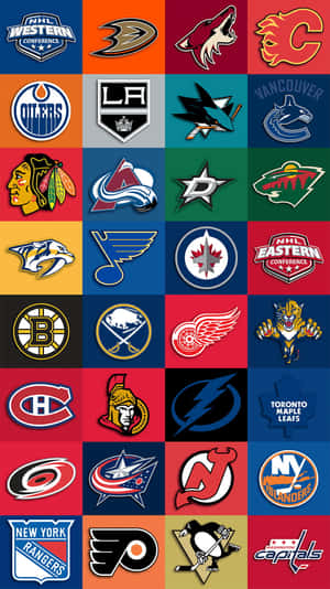 色彩和風格鮮豔的NHL冰球隊標誌網格。