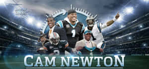 Cam Newton 和 Panthers 球員在燈光下的足球場上慶祝。