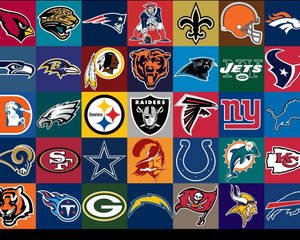 NFL球隊標誌網格，以鮮豔色彩和標誌性吉祥物。