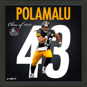 Troy Polamalu 名人堂入選照片，身穿 43 號球衣。