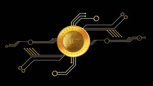 金色NFT硬幣被發光的電路線包圍在黑色背景上。