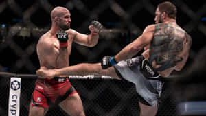 八角籠中的兩名MMA拳手，一人踢腿，另一人阻擋攻擊。