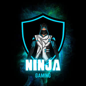Ninja Gaming 標誌，展示一個戴面具的忍者穿著未來風格盔甲，帶有發光藍色點綴。