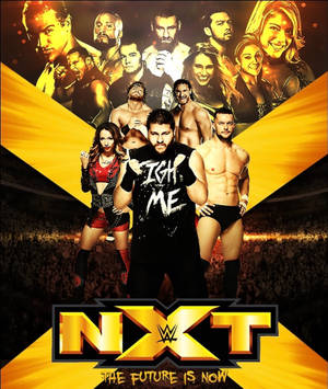 WWE NXT摔角運動員在歡呼的人群前自信地擺姿勢。 — Galaxy Z Fold 6 壁紙