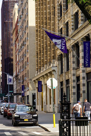 NYU Steinhardt校園街道，有歷史建築和行人。