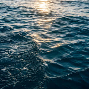 陽光反射在紋理藍色海浪上