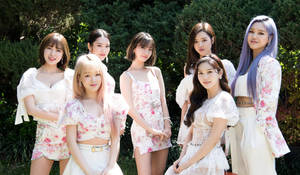 七位身穿花卉白色服裝的女性在陽光花園中擺姿勢。 — 美學女孩 壁紙