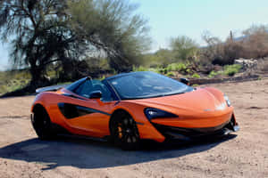 橙色McLaren 570S Spider停泊在沙漠中，有樹木和灌木。 — Surface Laptop 壁紙