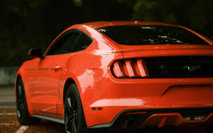 橙色Mustang跑車停在路上，背景有樹木。