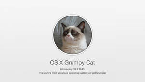 一隻暴躁的貓在圓形框架中，下方有關於 OS X 的文字。