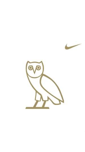 白色背景上的金色簡約貓頭鷹與Nike Swoosh標誌。