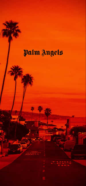 橙色日落天空下，棕櫚樹街道帶有 'Palm Angels' 文字。