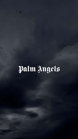 黑暗的暴風雲層，有鳥類飛翔，白色文字寫著 Palm Angels。
