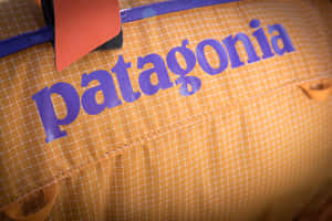 橙色格子戶外袋上的 Patagonia 標誌近距離特寫