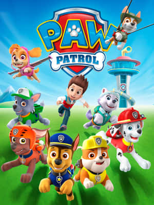 Paw Patrol 角色在草地上擺出動作姿勢，背景有他們的塔樓。