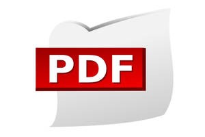 PDF文件圖標，白色文件背景上有紅色標籤。