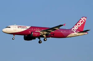 Peach Airlines桃紅色塗裝飛機起落架放下在藍天飛行