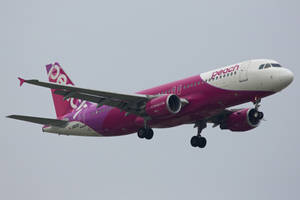粉紅色和白色的Peach Airlines飛機放下起落架降落。 — 藍天 壁紙