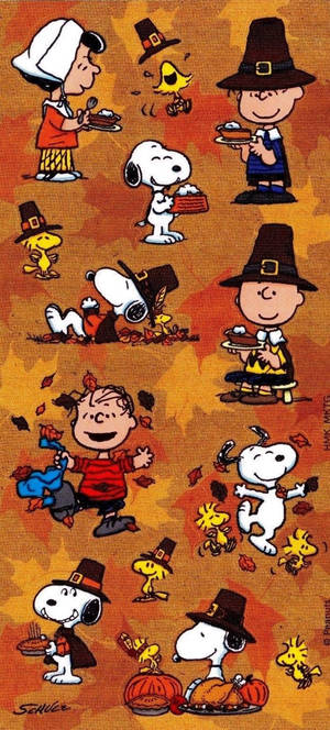 Peanuts 角色打扮成朝聖者，享受南瓜和派慶祝感恩節。 — 卡通 壁紙