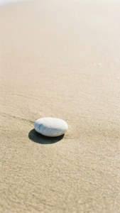 在明亮陽光下，金色沙灘上的一顆白色鵝卵石。