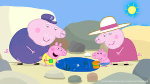 Peppa Pig 一家喺有細小水池嘅陽光海灘上享受美好時光。 — 可愛卡通 壁紙