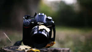 森林中樹樁上的黑色Nikon相機和落下的秋葉。