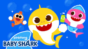 鯊魚寶寶和一條魚在水下玩肥皂泡。 — 魚 壁紙