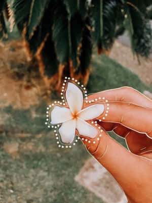 Pinterest 圖片 — Pinterest GIF 壁紙