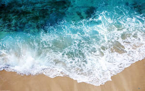 碧綠色的海浪拍打金色沙灘。