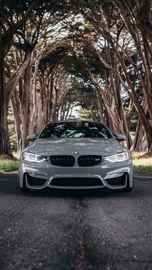 銀色BMW M4停泊在鋪砌道路上的高大樹木隧道下。