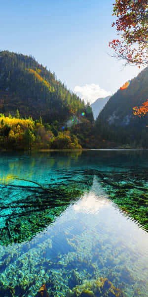 寧靜的秋日湖泊，清澈的湖水倒映著山巒和色彩繽紛的樹木。 — 湖 壁紙