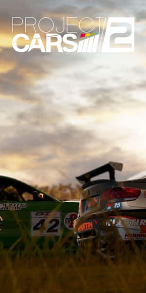 兩輛賽車停在夕陽下的長草中，帶有遊戲標題疊加。