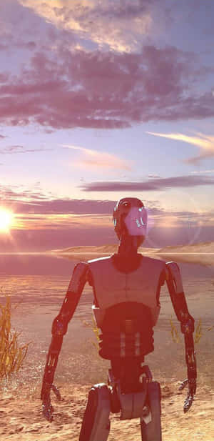 一個機械人在沙漠中，夕陽下，天空呈現紫色和橙色。 — 機械人 壁紙