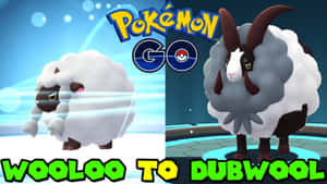 Wooloo 同 Dubwool 寶可夢喺精靈球場地入面，有 Pokémon GO 標誌。