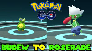 Budew 和 Roserade 在 Pokémon GO 進化場景中，帶有發光圓圈和遊戲標誌。 — 可愛寵物小精靈 壁紙