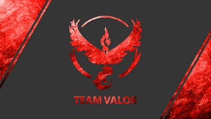 Team Valor標誌，在深灰色背景上以紅色呈現鳳凰和龍。