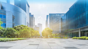 現代玻璃建築之間，陽光普照的城市廣場，樹木成蔭。